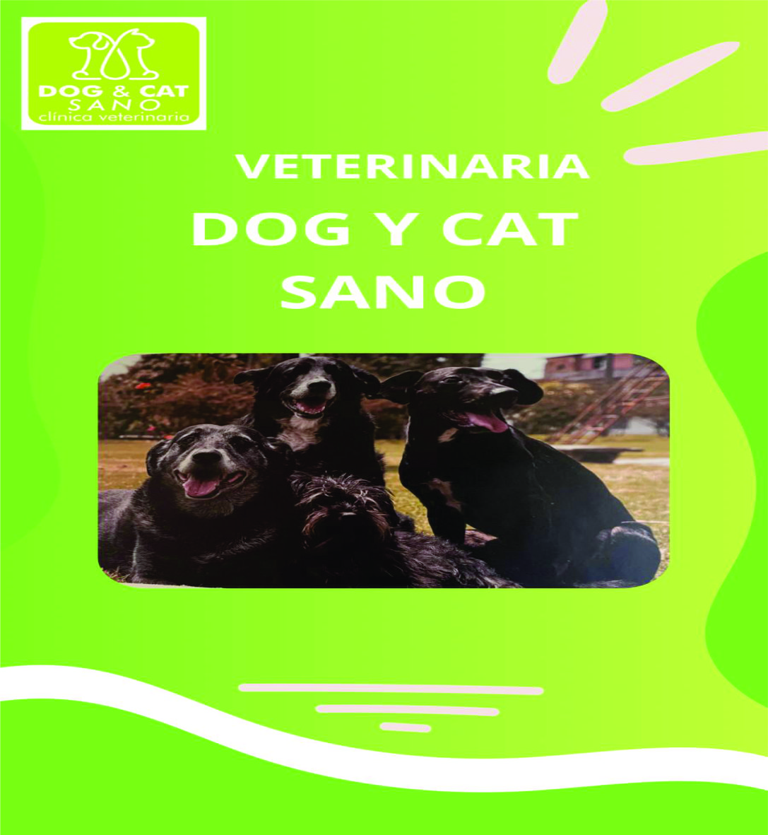 Veterinaria 1