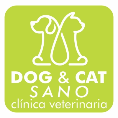 Dog y Cat Sano